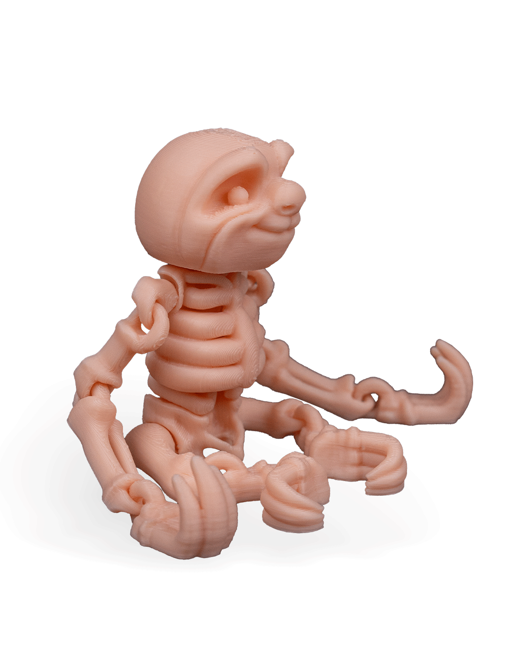 Flexi Skeleton Sloth!