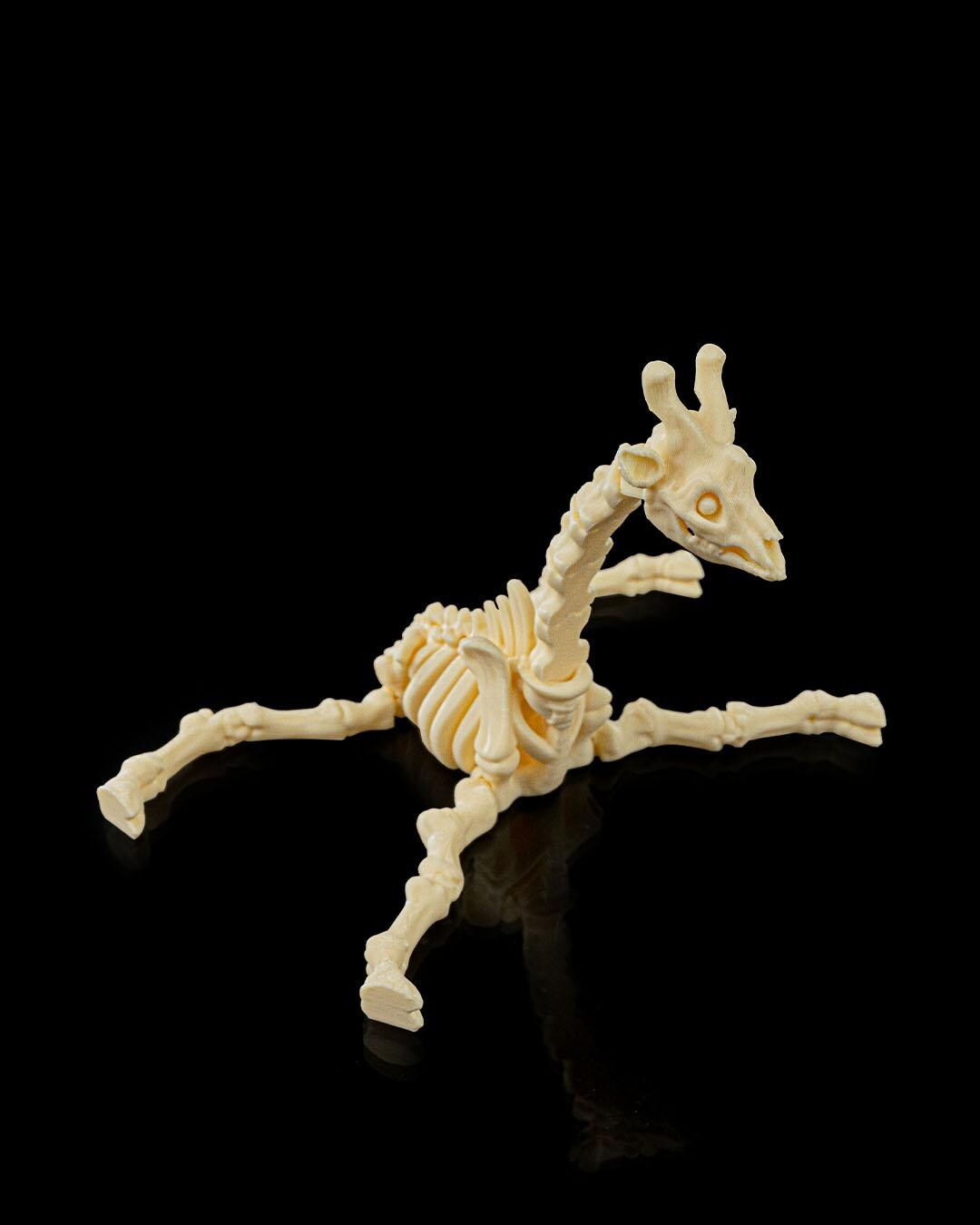 Flexi Skeleton Giraffe