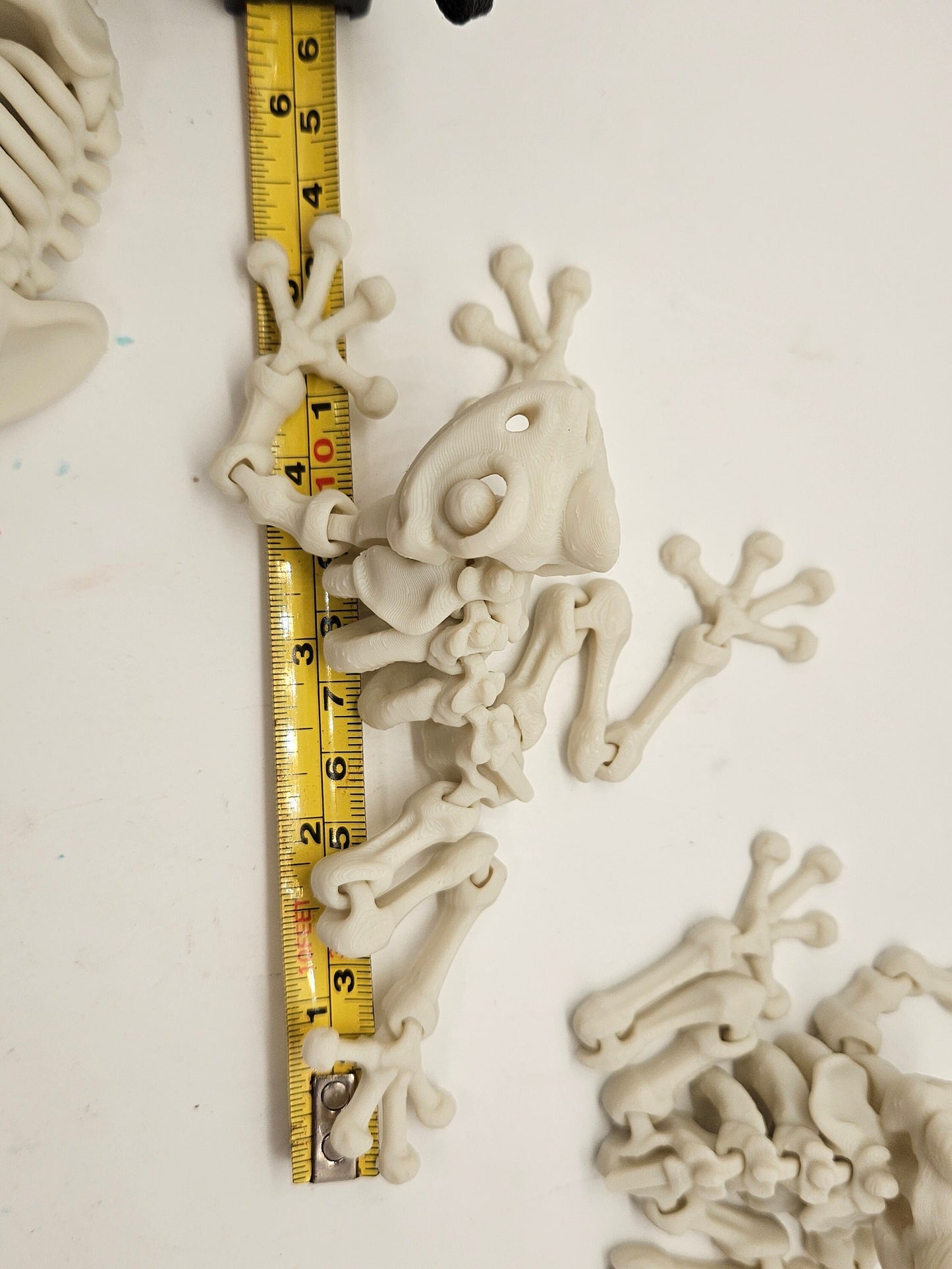 Amazing Skeleton Flexi Frog!
