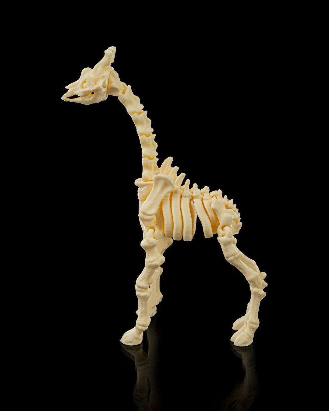Flexi Skeleton Giraffe