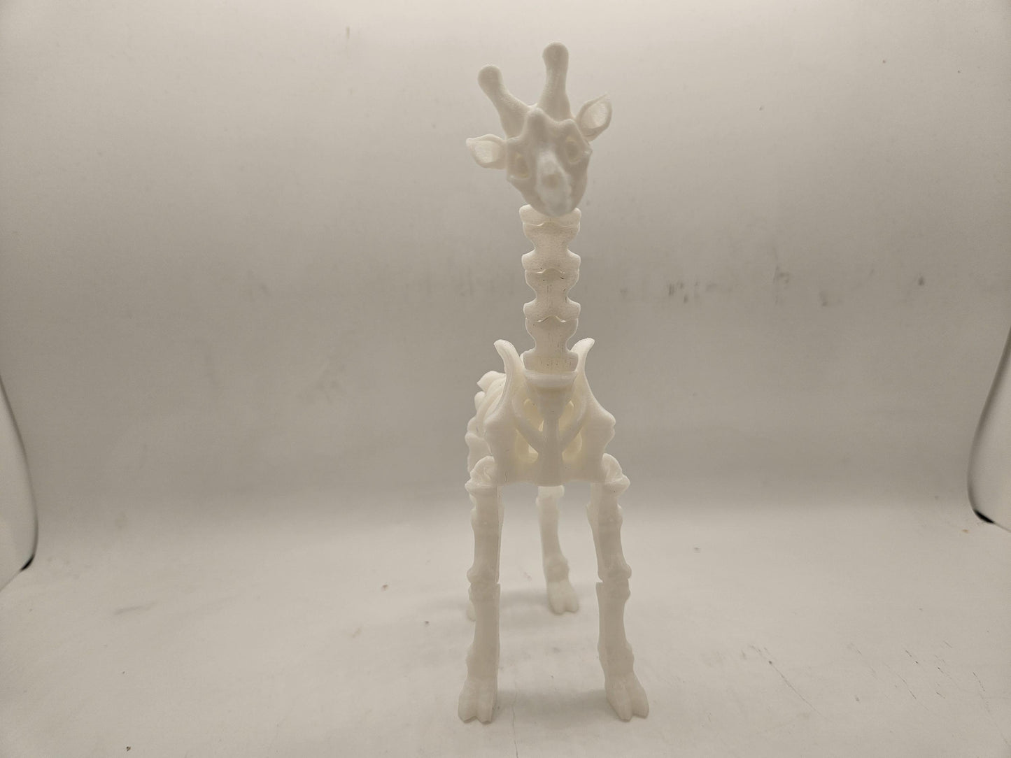 Flexi Skeleton Giraffe