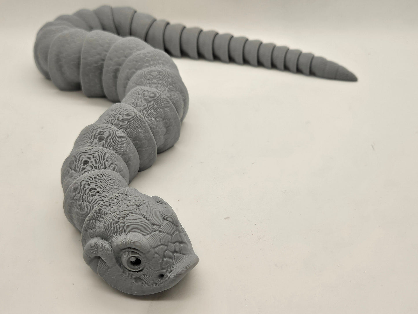 Flexi Hognose Snakes!