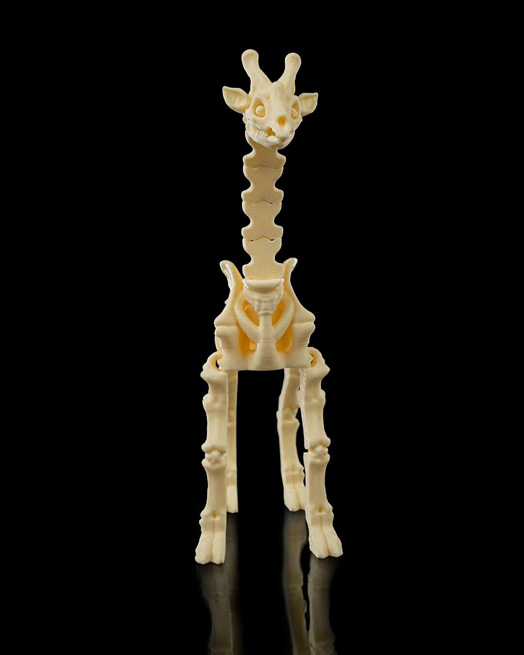 Flexi Skeleton Giraffe