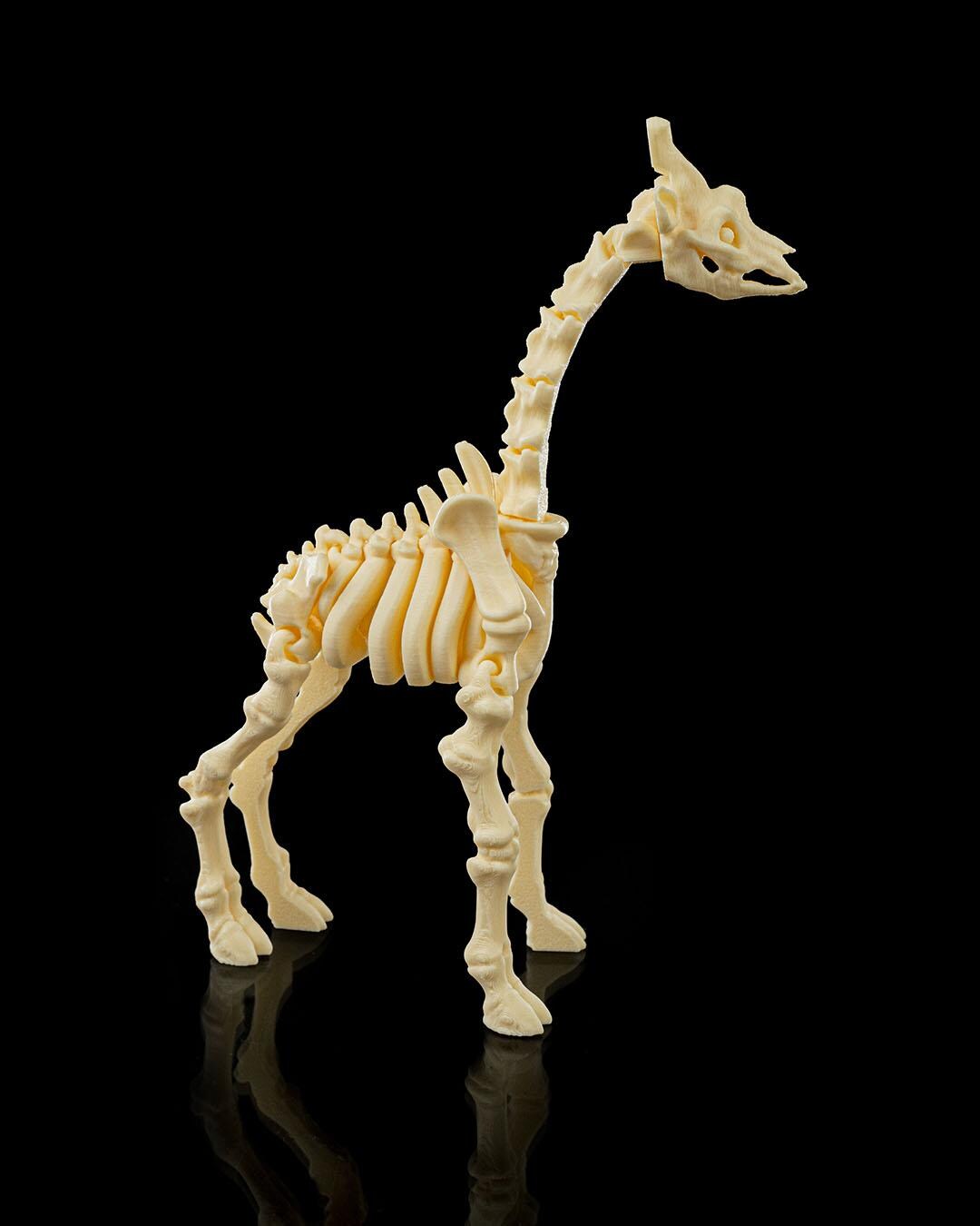 Flexi Skeleton Giraffe