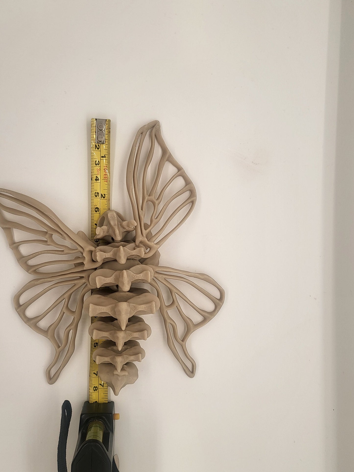 Bone Moth